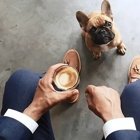 招待所 桦木旅馆 圣塞瓦斯蒂安