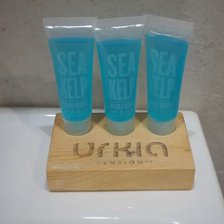 招待所 桦木旅馆 圣塞瓦斯蒂安