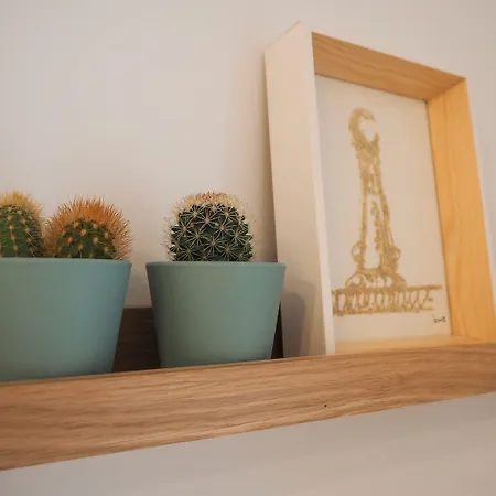 桦木旅馆 2* 圣塞瓦斯蒂安