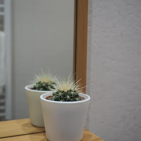 招待所 桦木旅馆