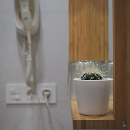 桦木旅馆 招待所 圣塞瓦斯蒂安