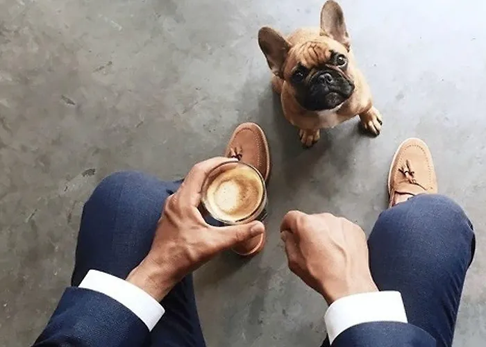 בית הארחה Urkia סן סבסטיאן