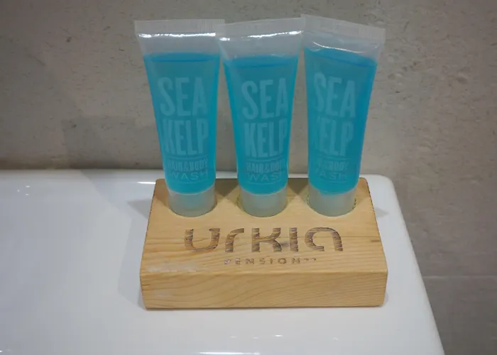 Guest house Urkia San Sebastian